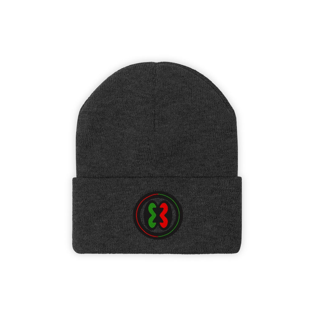 "Beacon Of Pride"  Knit Beanie