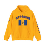 Barbados Flag Hoodie — Retro Script Barbados Pullover with Trident Emblem
