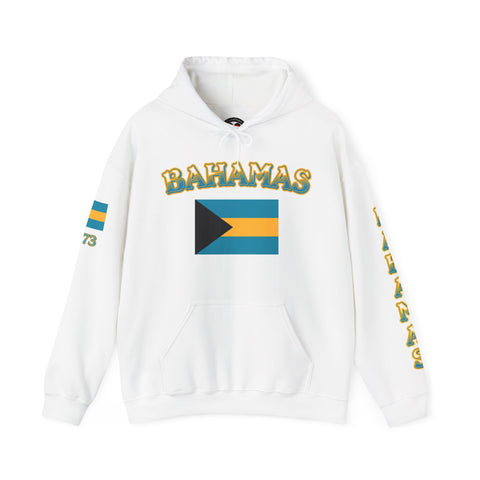 "Bahamas" Unisex Heavy Blend™ Hoodie