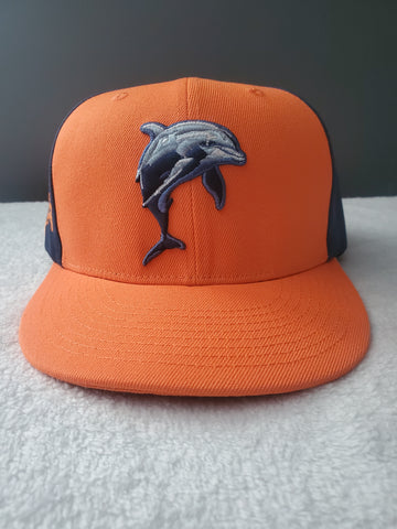Whitney Young Dolphins Snapback Hat