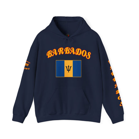 Barbados Flag Hoodie — Retro Script Barbados Pullover with Trident Emblem