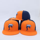 Whitney Young Dolphins Snapback Hat