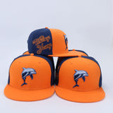 Whitney Young Dolphins Snapback Hat