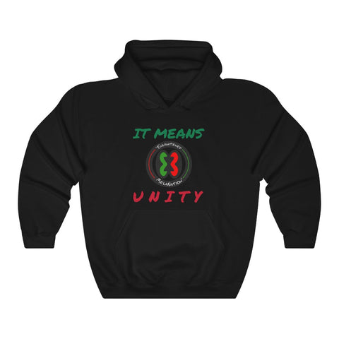 "E.M. It Means Unity"  Unisex Heavy Blend™ Hoodie