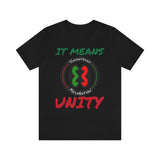"E.M. It Means Unity"  Unisex Jersey Fit Tee